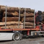 Grumes de Châtaignier – Lot Camion Complet (60 stères) – Direct Exploitant