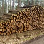 Grumes de Chêne – Lot Camion Complet (60 stères) – Certifié PEFC & FSC