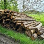 Grumes d'Épicéa – Lot Camion Complet (60 stères) – Certifié PEFC & FSC