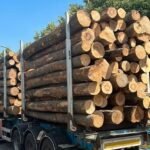 Grumes de Hêtre – Lot Camion Complet (60 stères) – Certifié PEFC & FSC