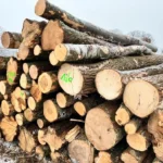 Grumes de Pin – Lot Camion Complet (60 stères) – Chauffage Rapide & Naturel